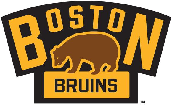 Boston Bruins 2016 Event Logo iron on transfers for T-shirts